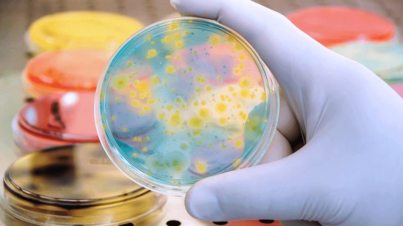 生物科技公司区域代理：如何规避合作陷阱**