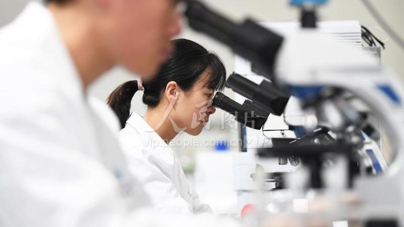 生物试剂耗材区别对比表