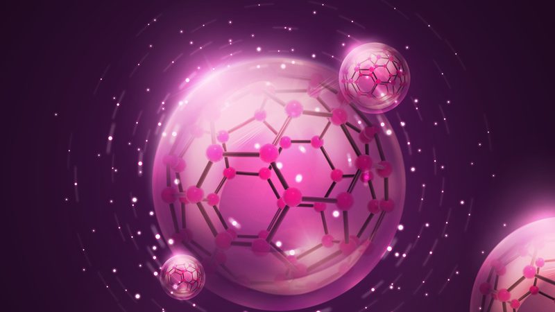 生物科技公司批发价格背后的考量因素**