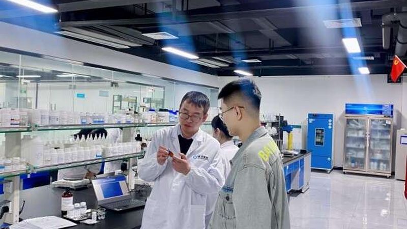 CDMO工艺流程：揭秘其成本构成与影响因素