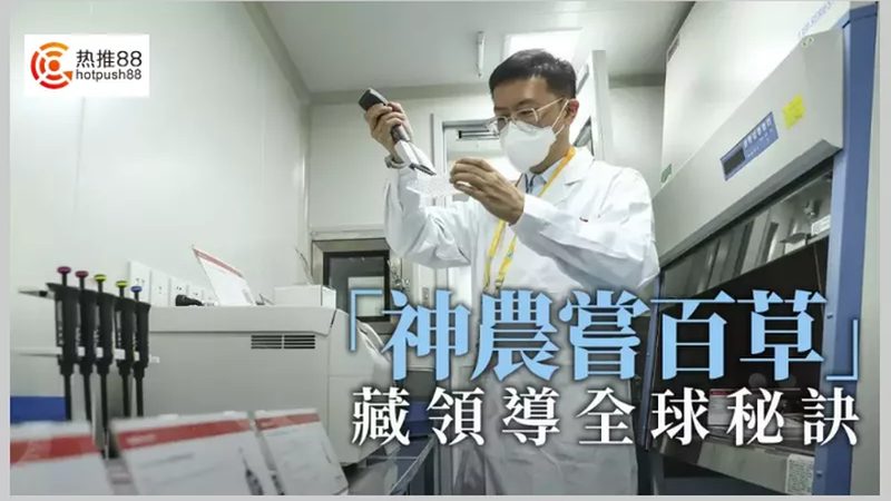 国产生物试剂，从“平替”到“优选”还有多远