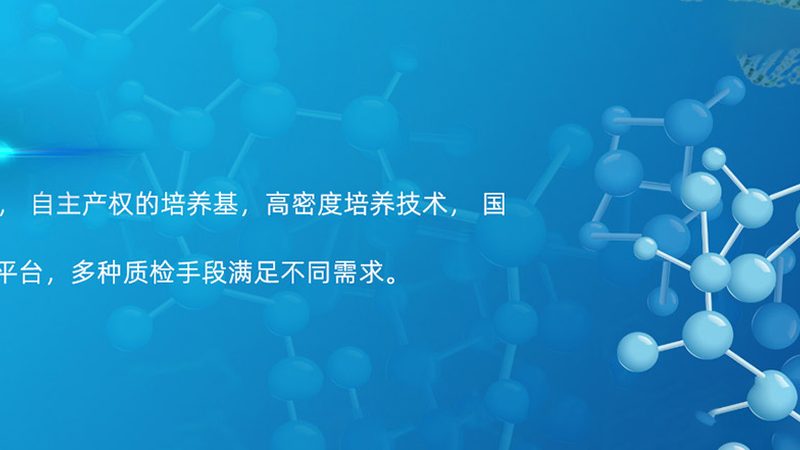 无血清培养基：揭秘其价格背后的秘密**