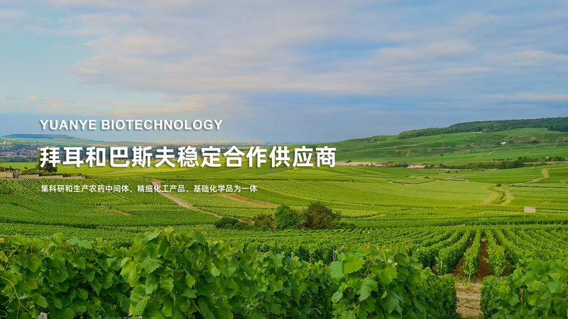 揭秘ELISA试剂盒：品牌排名背后的技术考量