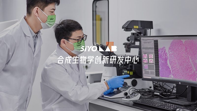 进口分子生物学试剂：如何选择合适的批发供应商**