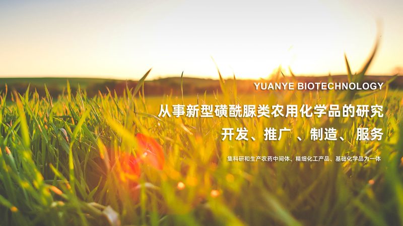 引物合成OD值，如何准确评估引物质量的关键指标**