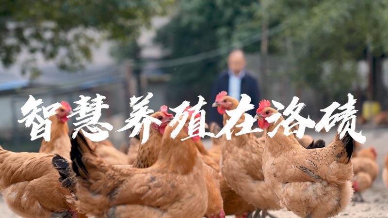 RNA提取试剂盒纯化步骤详解：关键环节与注意事项