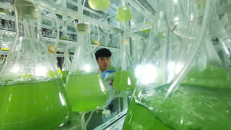 抗体产品质检报告与COA区别：揭秘两者在质量控制中的关键作用